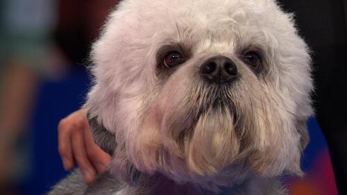 体育商业联盟管理